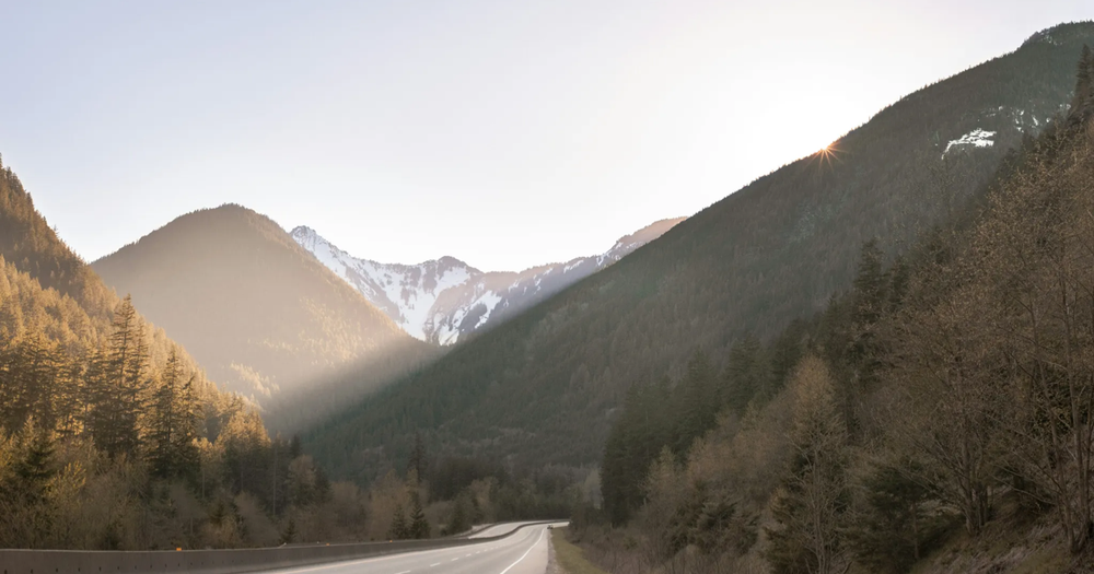 Nature scenery with trees and mountains to demonstrate sustainable B Corp website agency committed to ethical and eco-friendly digital solutions