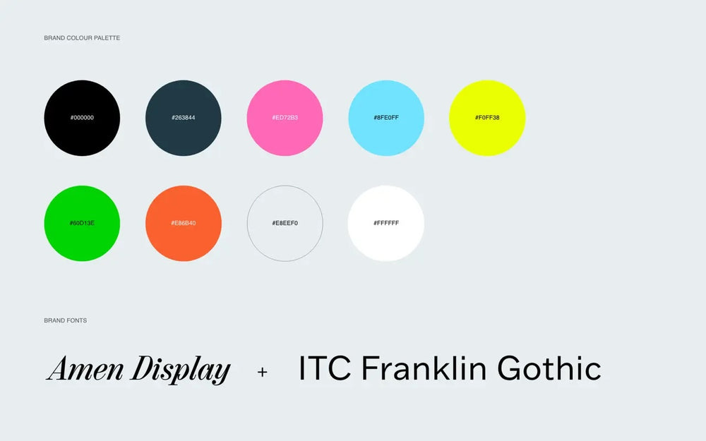 Brand colour palette and font options for Fussy